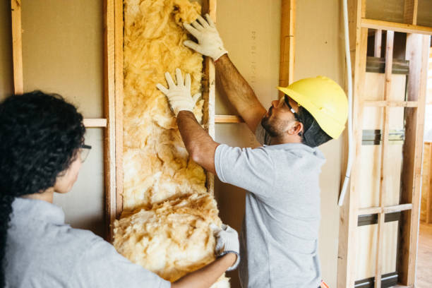 Types of Insulation We Offer in Pike Road, AL